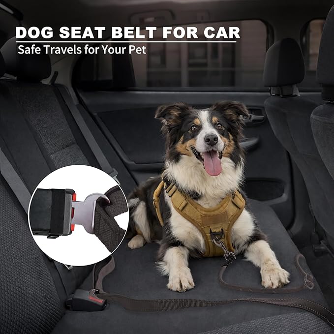 6FT Heavy Duty Dog Leash for Small Medium Large Dogs, Tangle Free Reflective Dog Training Leash with Double Handle, Seat Belt Buckle & Poop Bag Holder (Black)