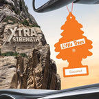 LITTLE TREES Car Air Freshener | Xtra Strength Provides Long-Lasting Scent for Auto or Home | Extra Boost of Fragrance | Coconut, 24 Air Fresheners