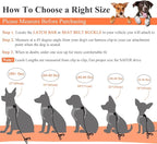 VIVAGLORY Dog Seat Belt Tuffbelt Dog Car Harness, Seatbelt with Clip & Hook for Car Travel, Chew Proof Anti Chew Unchewable Metal Safety Tether Restraint, XS, Orange