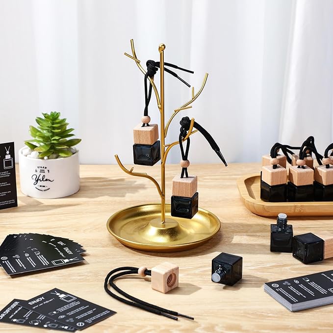 60 Sets Car Diffuser Bottles Empty Bulk Hanging Car Air Freshener Diffuser Bottles Bulk Glass Perfume Holder with Instruction Cards for Essential Oil Fragrance Pendant(Square,Black)