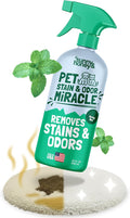 Sunny & Honey Pet Stain and Odor Remover - Enzyme Cleaner for Dog Urine and Poop on Carpets and Furniture - Strong Pet Carpet Cleaner Spray (32fl oz Mint)