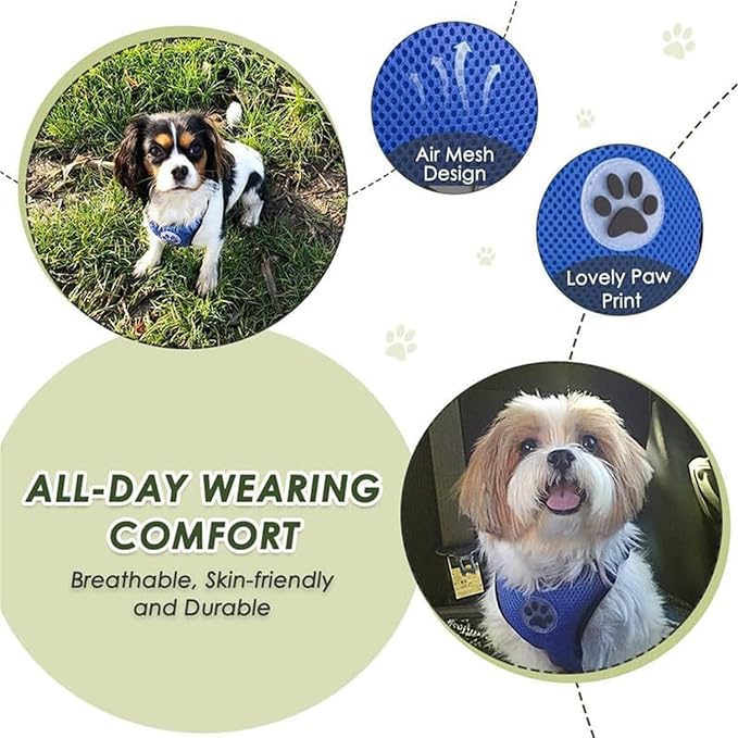 Lukovee Dog Seat Belt for Car, Adjustable Dog Car Harness for Large Medium Small Dogs, Soft Padded & Breathable Mesh Dog Seatbelt with Car Strap and Carabiner (Blue,S)