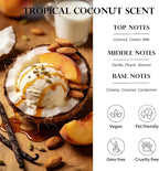 3 Pack Car Air Freshener & Car Deodorizer, Coconut Scented - Long Lasting Hanging Car Air Fresheners for Women & Men, Car Accessories by VUTOLLOSA