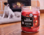 Mcintosh Apple Odor Eliminating Highly Fragranced Candle - Eliminates 95% of Pet, Smoke, Food, and Other Smells Quickly - Up to 80 Hour Burn time - 12 Ounce Premium Soy Blend