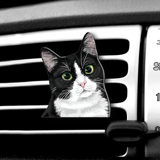 WIRESTER Fresh Scented Car Air Freshener Vent Clip, Decorative Accessories, Interior Decoration for Cars