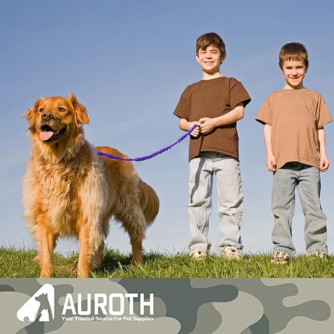 AUROTH Heavy Duty Bungee Dog Leash for Medium Large Breed Dogs, No Pull for Shock Absorption with Car Seat Belt, 2 Padded Handles 4.5FT 6FT Training Dog Leash