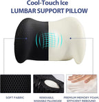 Lumbar Support Pillow for Office Chair, Car Lumbar Pillow Lower Back Pain Relief, Memory Foam Back Cushion with 4D Mesh Cover and Adjustable Straps, Ergonomic Chair Back Pillow for Car,Bed, Gaming