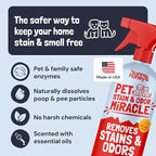 Sunny & Honey Pet Stain and Odor Remover - Enzyme Cleaner for Dog Urine and Poop on Carpets and Furniture - Strong Pet Carpet Cleaner Spray (32fl oz Fall Spice)
