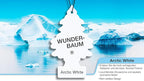 LITTLE TREES Car Air Freshener | Hanging Paper Tree for Home or Car | Arctic White | 1 Pack
