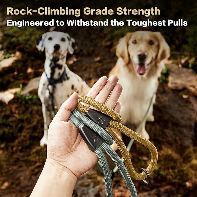 PawsPassion Rope Dog Leash 6 FT, 2-in-1 Heavy Duty Dog Leash with Seat Belt Buckle, Tangle Free 360ｰ Swivel Aviation Aluminum Carabiner, All Metal Hardware, Alloy O-Ring (Sunrise)