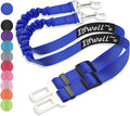 IBWell Dog Seat Belt for Car with Elastic Bungee Leash, Car Leash Car Seat Belt for Dogs (Blue, 2PCS-27.6")
