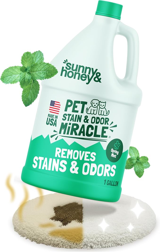 Sunny & Honey Pet Stain and Odor Remover - Enzyme Cleaner for Dog Urine and Poop on Carpets and Furniture - Strong Pet Carpet Cleaner Spray (1 Gallon Mint)