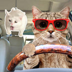 6Pcs Funny Car Air Freshener for Women Girls Men Cute Freshener Ornaments Cat Meme Funny Car Hanging Accessories