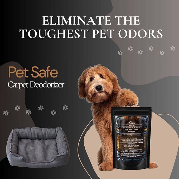 Lapew Fearless Carpet Deodorizer Powder - Pet Safe Freshener for Vacuuming | Scented Odor Eliminator for Home | 16 oz