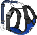 Lukovee Dog Seat Belt for Car, Adjustable Dog Car Harness for Large Medium Small Dogs, Soft Padded & Breathable Mesh Dog Seatbelt with Car Strap and Carabiner (Blue,XXS)