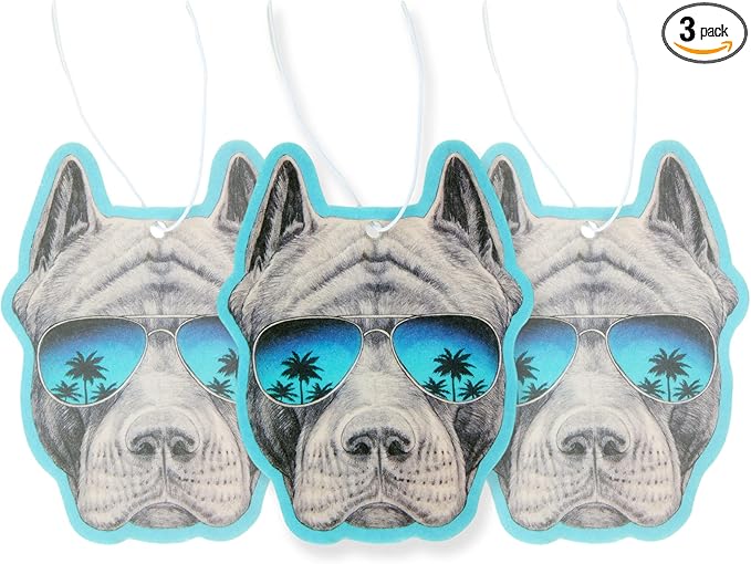 Air Freshener Scented With Essential Oils By Fresh Fresheners (Pit Sunnies)