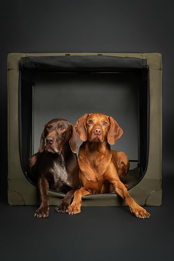 Noah & Paw Collapsible Dog Crate 30 Inches, Large Dog Crate for Large Medium Breeds, Travel Kennel for Car, Including Pet Mat for Pet Cage, 2 Storage Pockets, Handbag, 10mm Locking Zipper 30*21*21