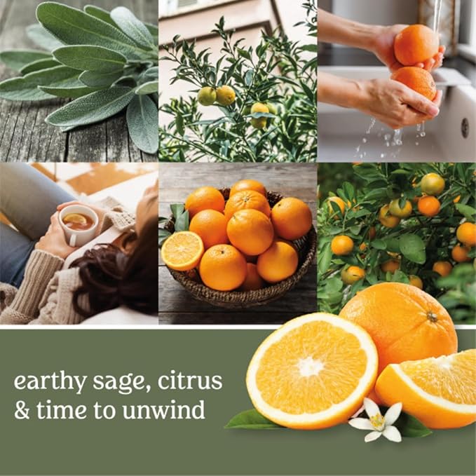 Yankee Candle Car Air Fresheners, Hanging Car Jar Ultimate, Neutralizes Odors Up To 30 Days, Sage & Citrus, 0.96 OZ (Pack of 6)
