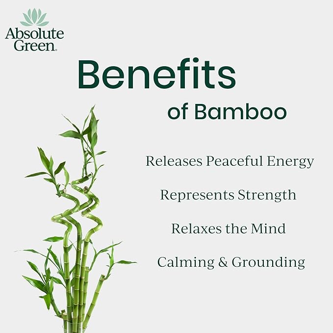 Absolute Green Air Freshener Room Spray, Non-Toxic, Cover Odors, Safe around Kids and Pets, Natural Bamboo Mist Scent 4oz (1 Pack)