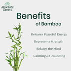 Absolute Green Air Freshener Room Spray, Non-Toxic, Cover Odors, Safe around Kids + Pets, Natural Bamboo Mist Scent 4oz (2 Pack)
