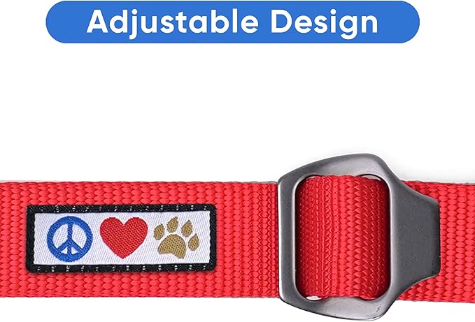 Pawtitas Red Seat Belt Pet Carrier