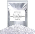 MUBYOK 1.5LB Cactus Oasis Premium Scented Aroma Beads for Making Car Freshies Supplies PreScented Beads for Car Air Freshener Sachets Long-Lasing Scent