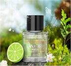 Car Diffuser Refill 50ML Smart Car Air Fresheners JK577 Original Bottle of Perfume Available for 3-6 Months Sharing Other Aromatherapy Machines Made with Natural Plant Extracts (Fantasy Forest)