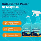 Urine B-Gone, Professional Enzyme Odor Eliminator & Pet Stain Remover, Human, Cat & Dog Urine Cleaner, Effective on Laundry, Carpets & More, Citrus Scent, 32oz, Pack of Two