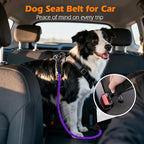 PetBonus Dog Seat Belt for Car, Durable Rope Dog Car Harness Seatbelt for Vehicle, Pet Tether Safety Restraint with Heavy Duty Buckle Hook Latch Lockable Clip for Small Medium Large Breeds (Purple)