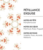 Maison Berger Car Diffuser Set – Refillable Vent Clip, Ceramic Refill, Made in France - Luxury Auto Scent - 4-Week Diffusion - Elegant Air Freshener for All Car Vents (Exquisite Sparkle)