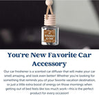 CE Craft Whiskey + Oak Car Air Hanging Fragrance Oil Diffuser, Air Freshener for Essential Oils, Scents Aromatherapy Automobile, Long Lasting Car Fresh