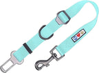 Pawtitas Dog Seat Belt | Pet Safety Seat Belt with Adjustable Strap for Small to Large Dogs | Exceeds Dog Safety Standards | Keep Your Dog Secure in The Car - Teal Car Seat Belt for Dogs