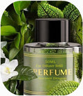 Smart Car Air Fresheners Refill 50ML Made with Natural Plant Extracts Compatible with Various Car Diffuser Refill Universal Perfume Available for 3-5 Months(Ancient Dragon)