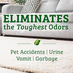 Biokleen Bac-Out Enzyme Cleaner Spray and Stain & Odor Remover for Pet Stains, Laundry, Diapers, Wine, Carpets, & More, Eco-Friendly, Non-Toxic, Lime Scent, 32 Ounces (Pack of 2)
