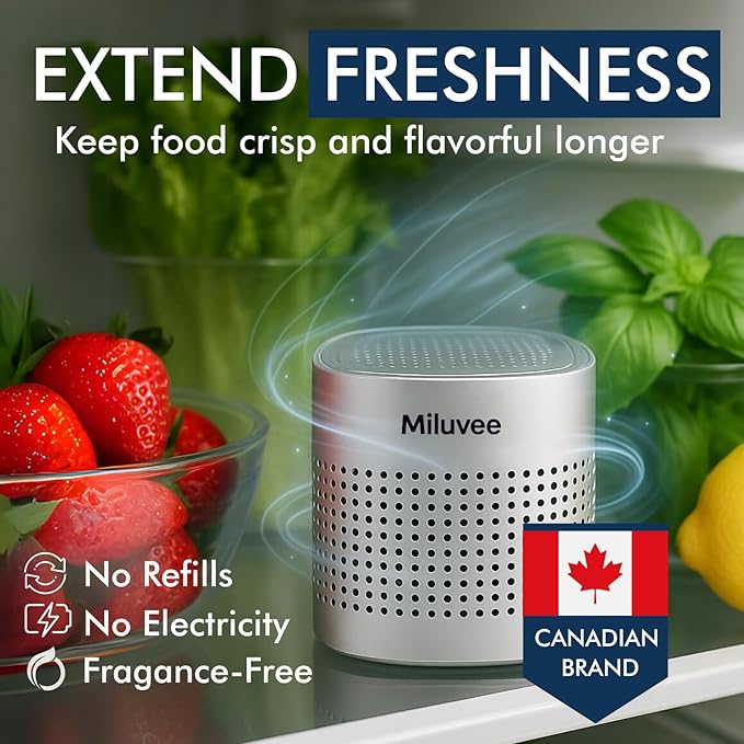 Premium Refrigerator Deodorizer, 10-Year Reusable Odor Absorber for Car, Pet, Closet, Fridge | Produce Saver, Keep Food Fresh Longer | No Refill, Unscented, Outperform Baking Soda Charcoal Bag