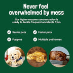 Sunny & Honey Turbo Pet Stain and Odor Remover - 40% More Enzymes - Enzyme Cleaner for Dog Urine and Poop on Carpets and Furniture - Pet Carpet Cleaner Spray (32fl oz Mint)