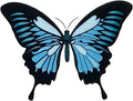Butterfly Air Freshener Car Scent By Scent South
