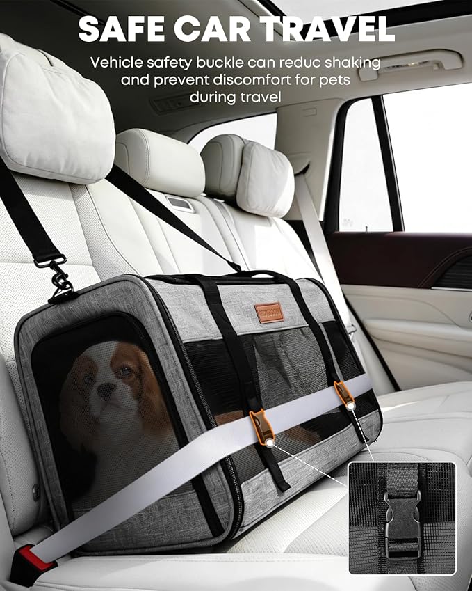 Large Cat Dog Carrier for Pet Up to 20 Lb - 20×13×13 in, Top & Side Entry, Foldable, Soft-Sided Pet Carrier with Ventilated Anti-Scratch Mesh & Car Seat Buckle for Car, Travel and Vet – Grey