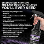 Blaze Away Commercial Air Freshener & Odor Eliminator for Strong Odor - Industrial-Grade Room Spray & Room Deodorizer for Home, Car, Smoke & Pet Odors - Long-Lasting Odor Absorber, Room Fresheners