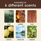 Car Air Freshener Natural Essential Oil Scent, Odor Eliminator and Purifier, Vent Clip Air Freshener for Car (Starter/Pine)