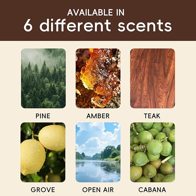 Car Air Freshener Natural Essential Oil Scent, Car Odor Eliminator and Purifier, Vent Clip Air Freshener for Car (Starter/Teak)