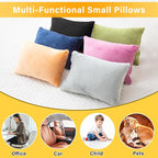 2 Pack Small Pillow, Memory Foam Mini Pillow 11 X 7 Inches for Travel, Sleeping, Nap and Neck, Knee, Lumbar Support, Tiny Cushion for Pet, Dogs (Black)