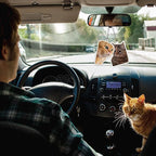 6Pcs Funny Car Air Freshener for Women Girls Men Cute Freshener Ornaments Cat Meme Funny Car Hanging Accessories