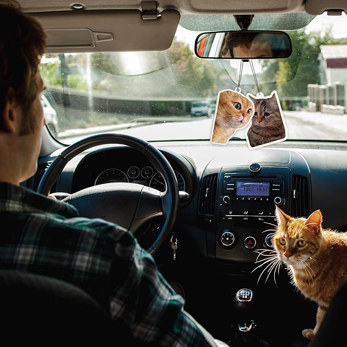 6Pcs Funny Car Air Freshener for Women Girls Men Cute Freshener Ornaments Cat Meme Funny Car Hanging Accessories