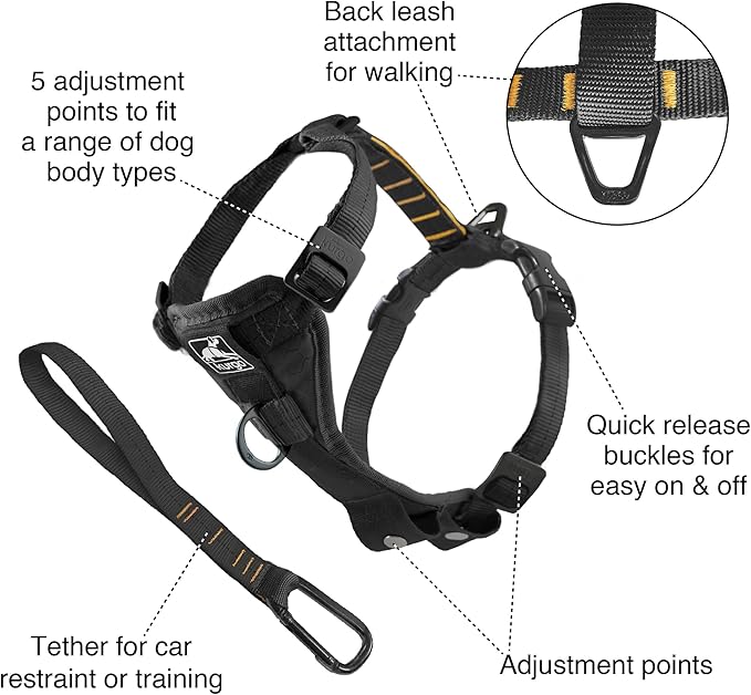 Kurgo Tru-Fit Smart Dog Walking Harness - Comfortable Fit - Adjustable Harness - Reflective Pet Wear - Quick Strap Release - Daily Walk Accessory - Includes Seat Belt Loop - Black - Medium
