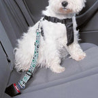 Cute Design 2-Pack Set Adjustable Pet Cat Dog Car Seat Belt, Adjustable Buckle Pet Car Harness Fabric Lanyard from 22 to 38 Inches Seatbelt Leash (Orange Passion Dog -Two Piece in one Set)