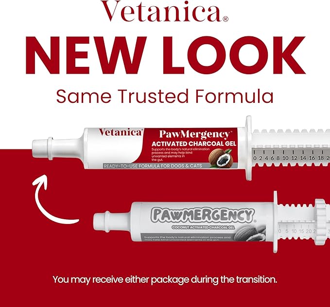 PawMergency – Activated Charcoal First Aid Kit Emergency Rescue 4 Pack for Dogs, Cats, Puppy & Pet Poison Kit, Camping Survival Remedy Essential, Oral Anti Diarrhea Digestive Absorb Toxins (4 pack)