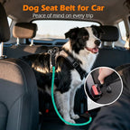 PetBonus Dog Seat Belt for Car, Durable Rope Dog Car Harness Seatbelt for Vehicle, Pet Tether Safety Restraint with Heavy Duty Buckle Hook Latch Lockable Clip for Small Medium Large Breeds (Turquoise)