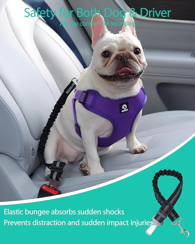 Dog Seat Belt for Car,Dog Car Safety Harness,2 in 1 Seatbelt Tether with Elastic Bungee,Travel Safety Harnesses for Small Medium Large Pets (Pink X-Large)