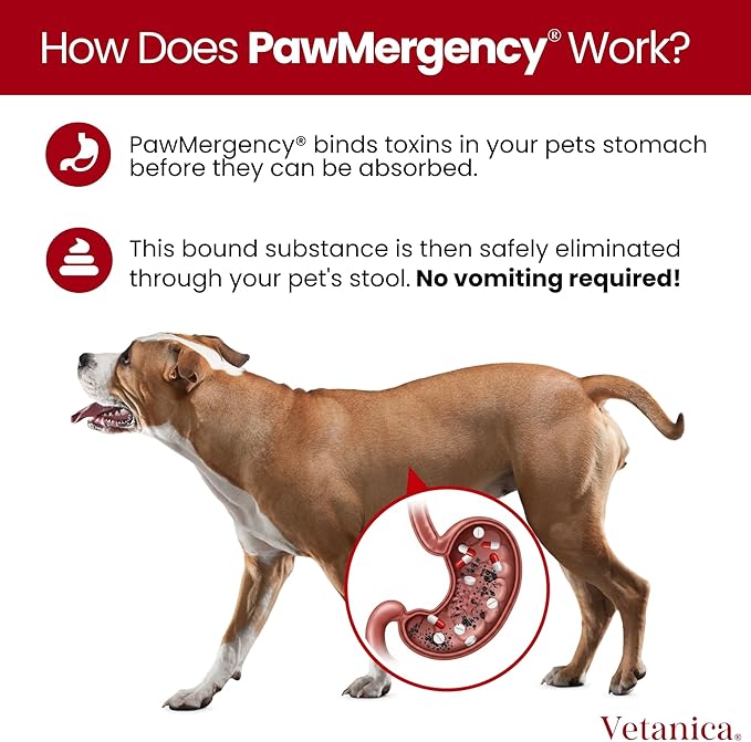 PawMergency – Activated Charcoal First Aid Kit Emergency Rescue 5 Pack for Dogs, Cats, Puppy & Pet Poison Kit, Camping Survival Remedy Essential, Oral Anti Diarrhea Digestive Absorb Toxins